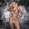 Fishnet Lingerie Bodysuit - detail