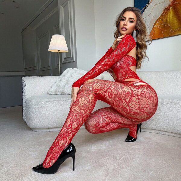 Long Sleeve Cutout Bodysuit Open-Crotch See-Through - detail