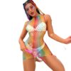 Premium Easy-Access Influencer Rainbow Fishnet Lingerie Bikini detail 5