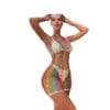 Rainbow Cutout Fishnet Bikini Cover-Up Sexy Lingerie detail 5