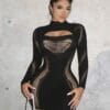 Sensual Sweet Dress Bodycon Bodystocking
